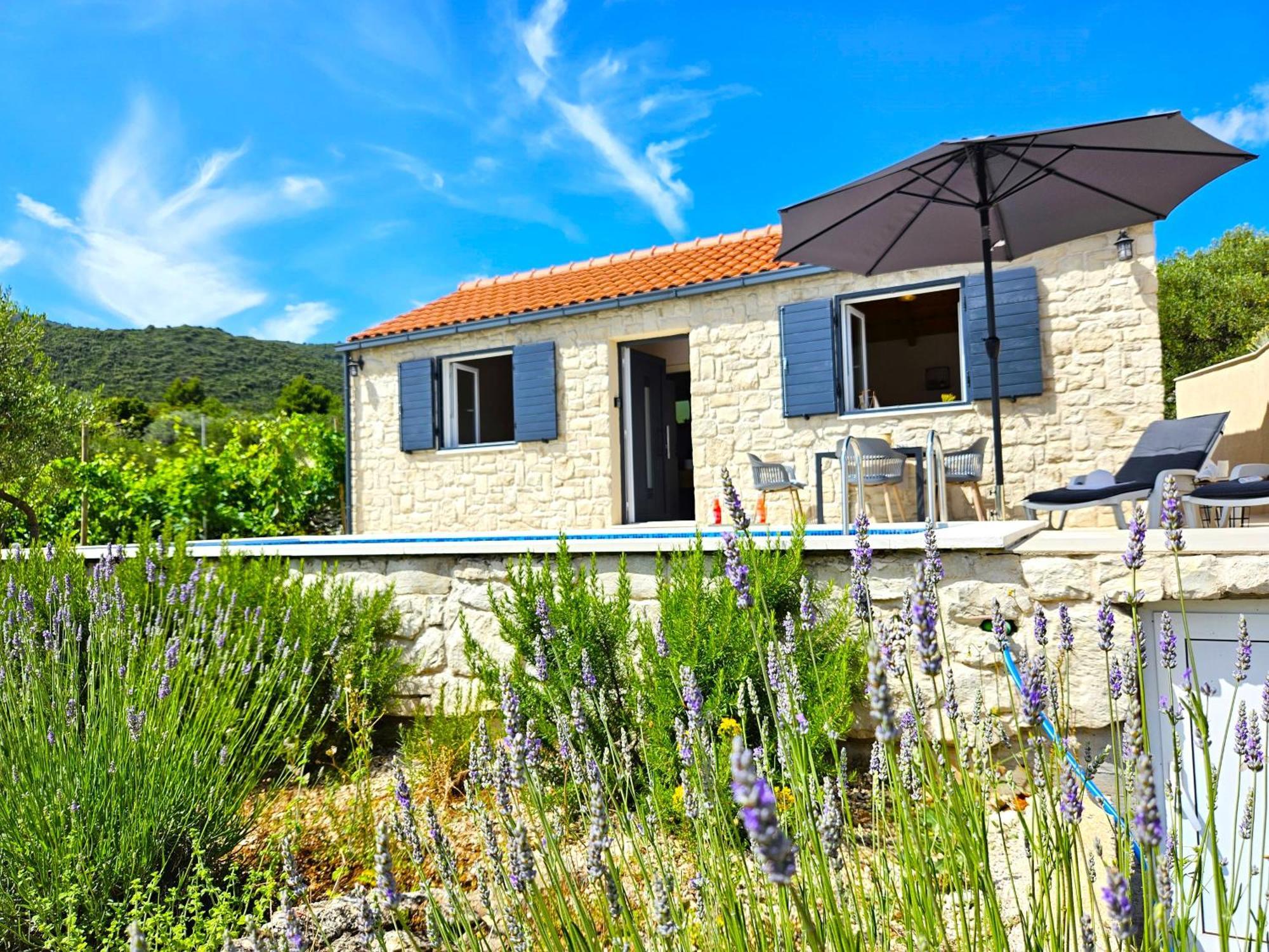 Stone House In Vineyard Vila Račišće Exterior foto